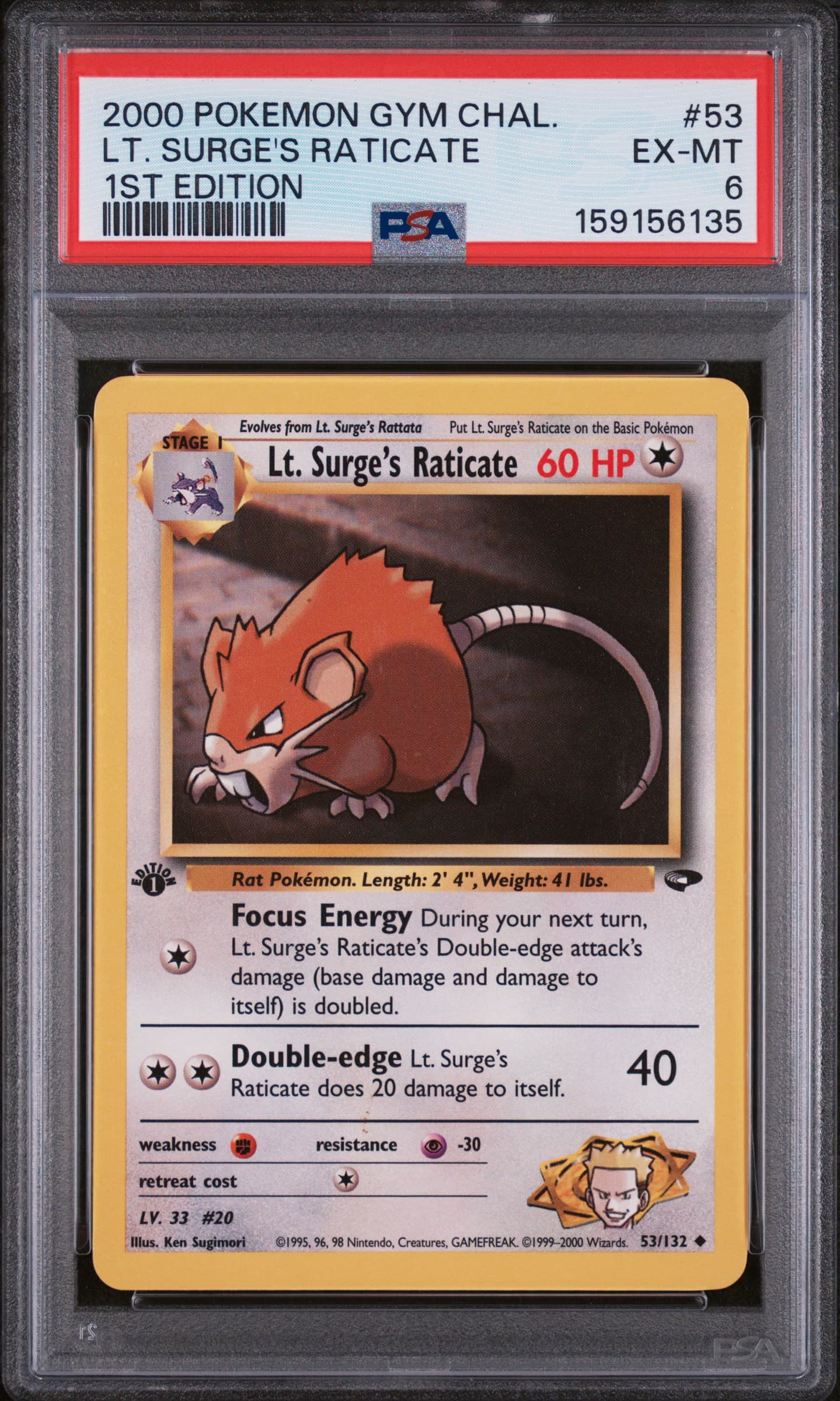 LT. Surge's Raticate 1st Edition