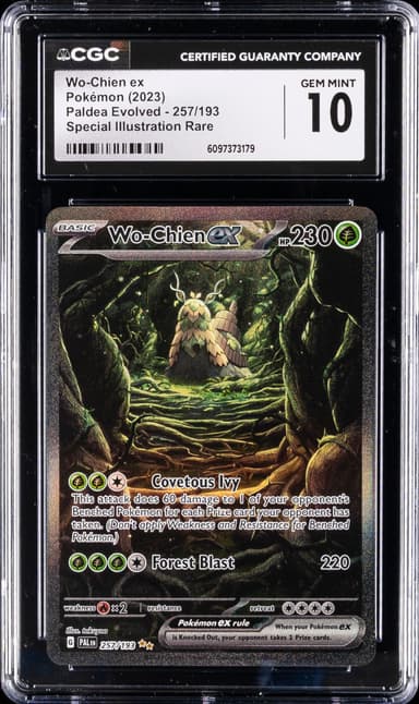 Wo-Chien ex