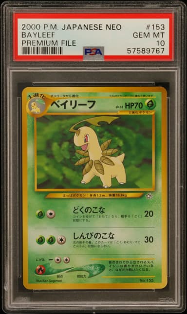 Bayleef