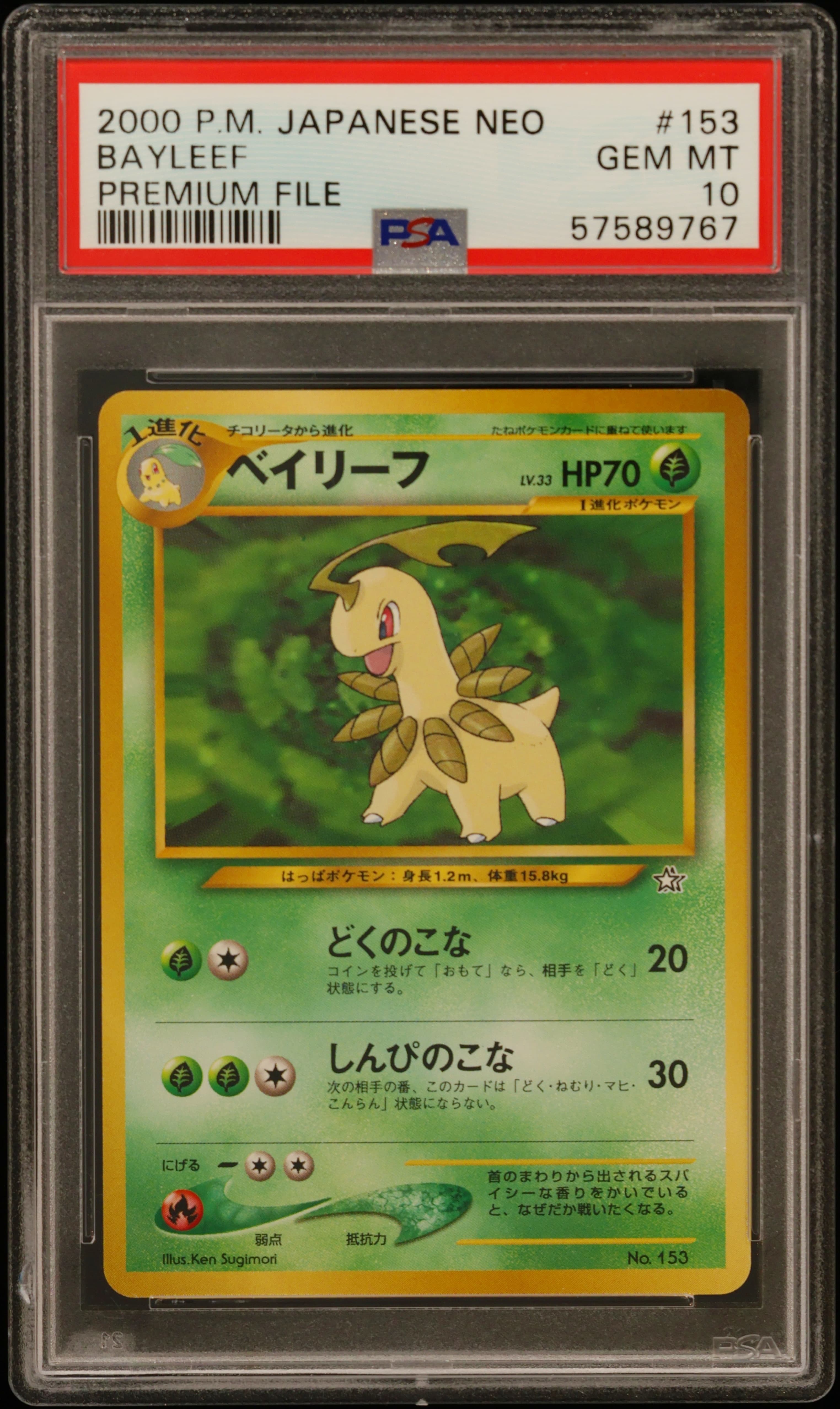 Bayleef