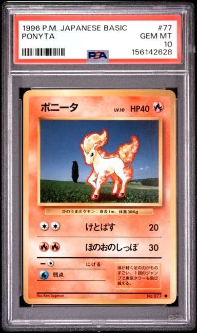 Ponyta