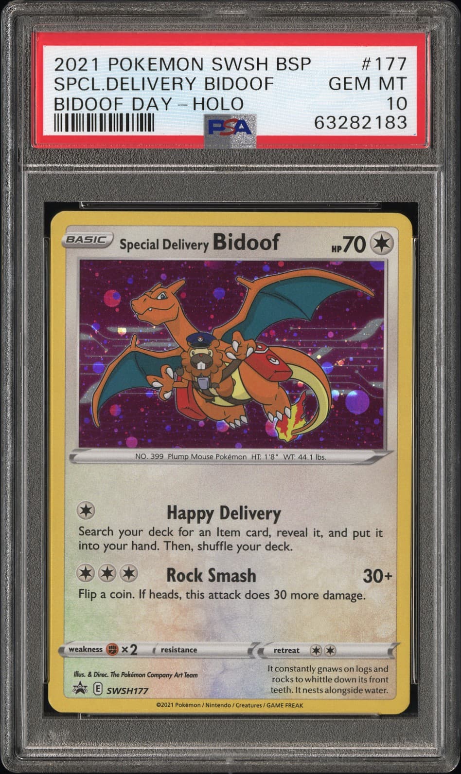 Special Delivery Bidoof-Holo