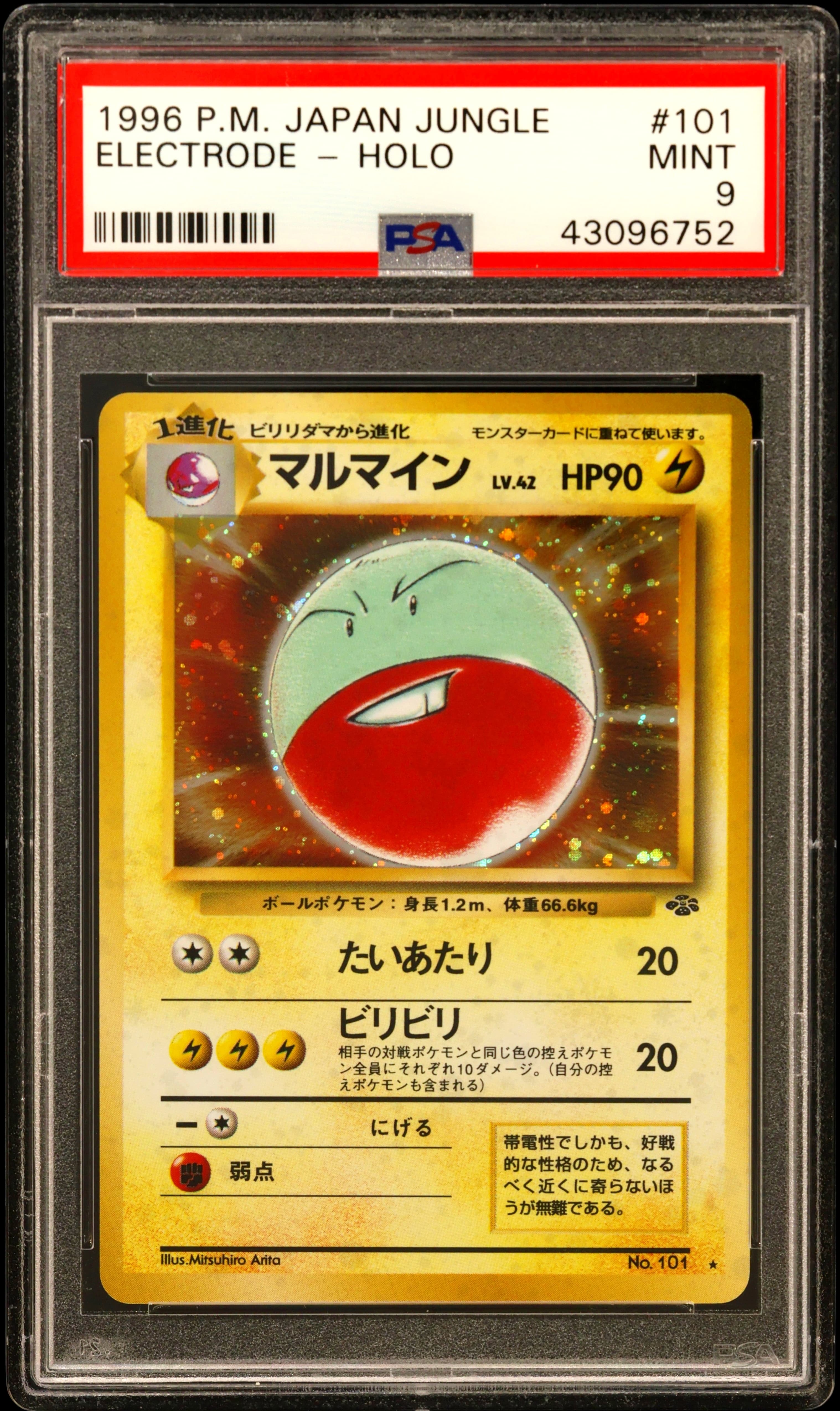 Electrode-Holo