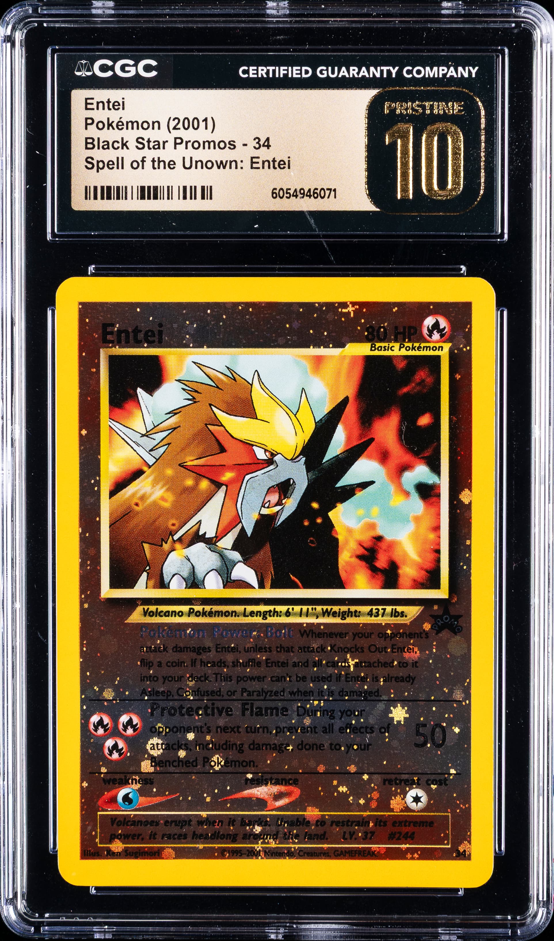 Entei-Reverse Foil