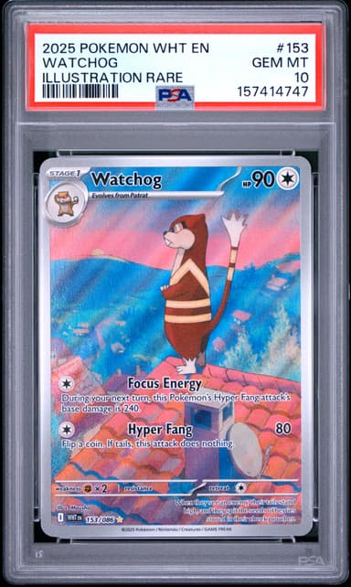 Watchog