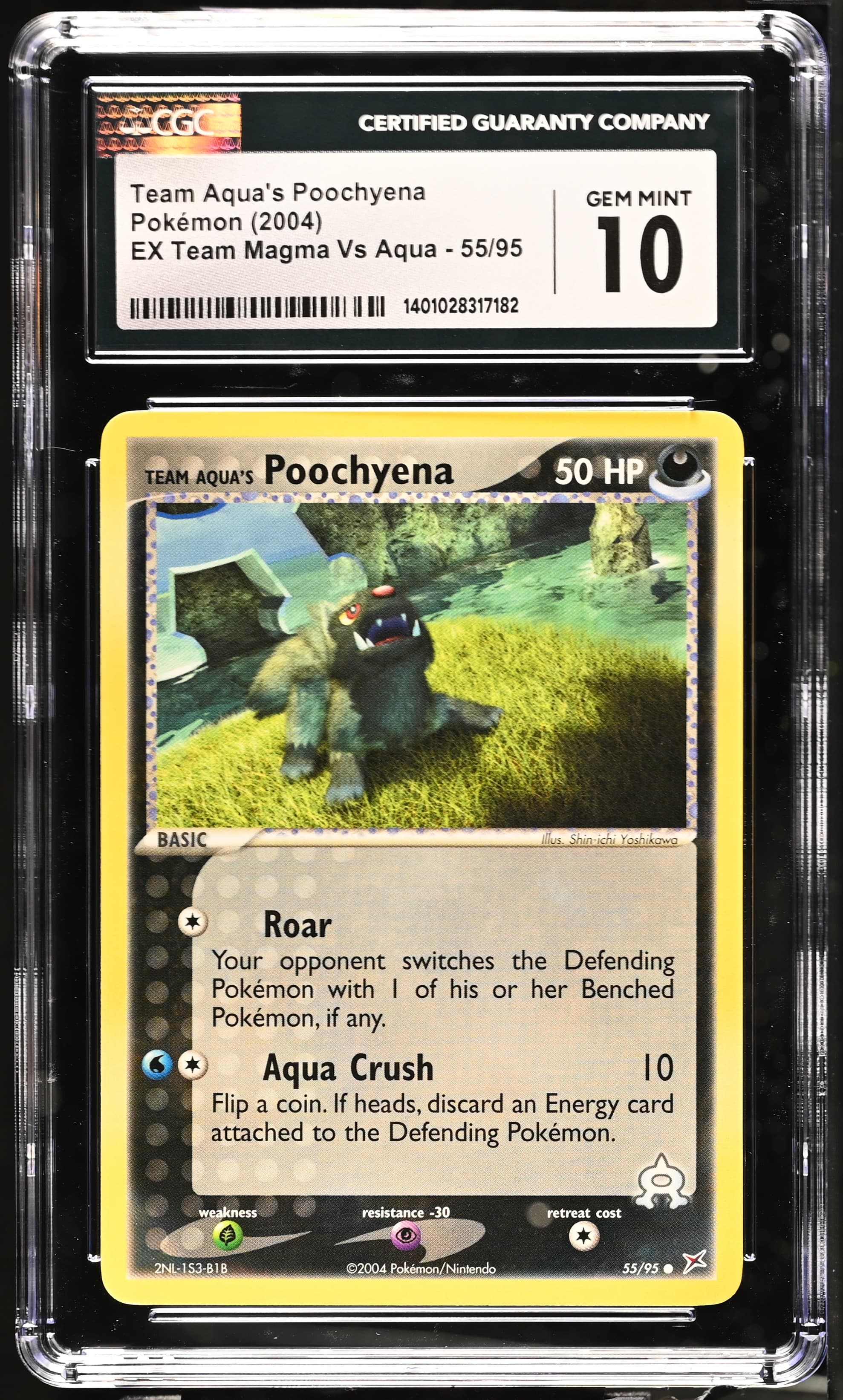 Team Aqua's Poochyena