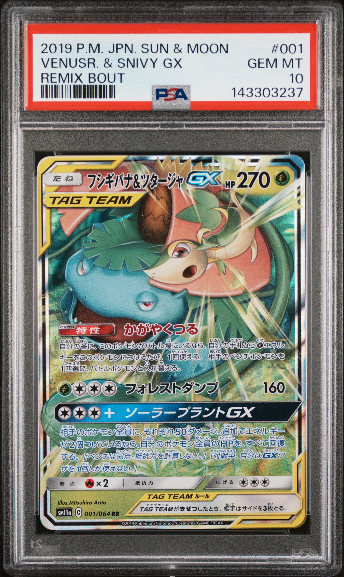 Venusaur & Snivy GX