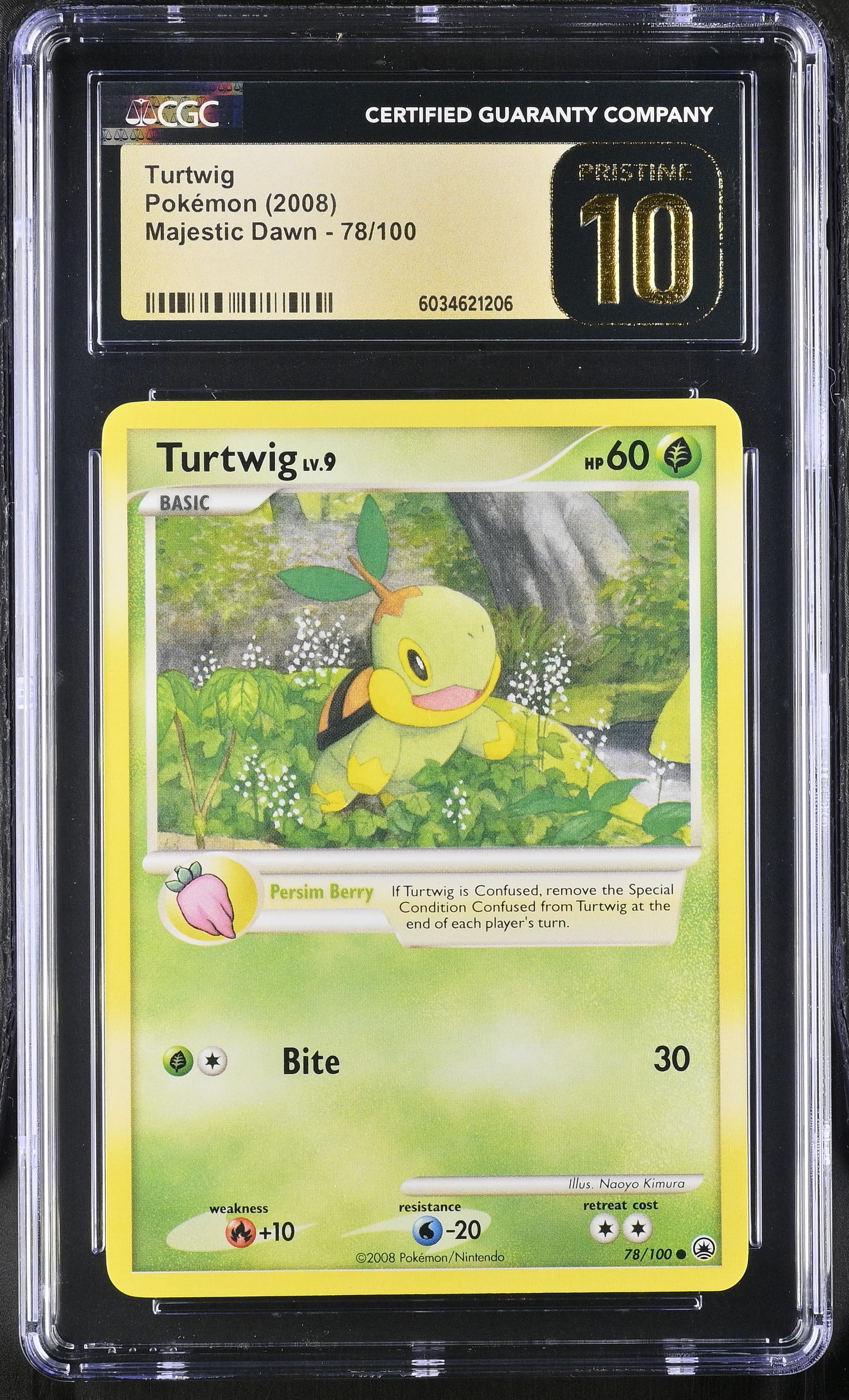 Turtwig