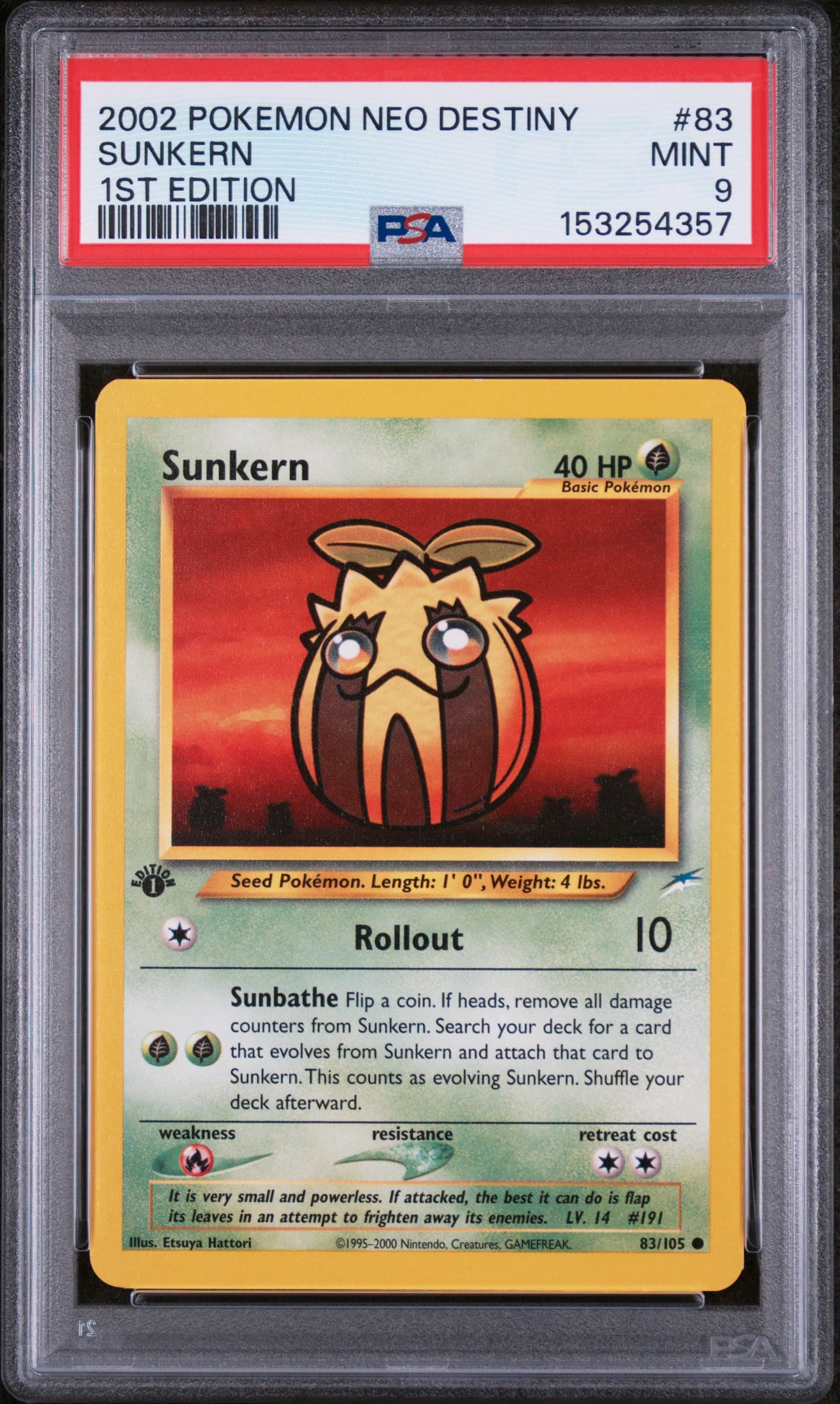Sunkern 1st Edition