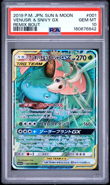 Venusaur & Snivy GX