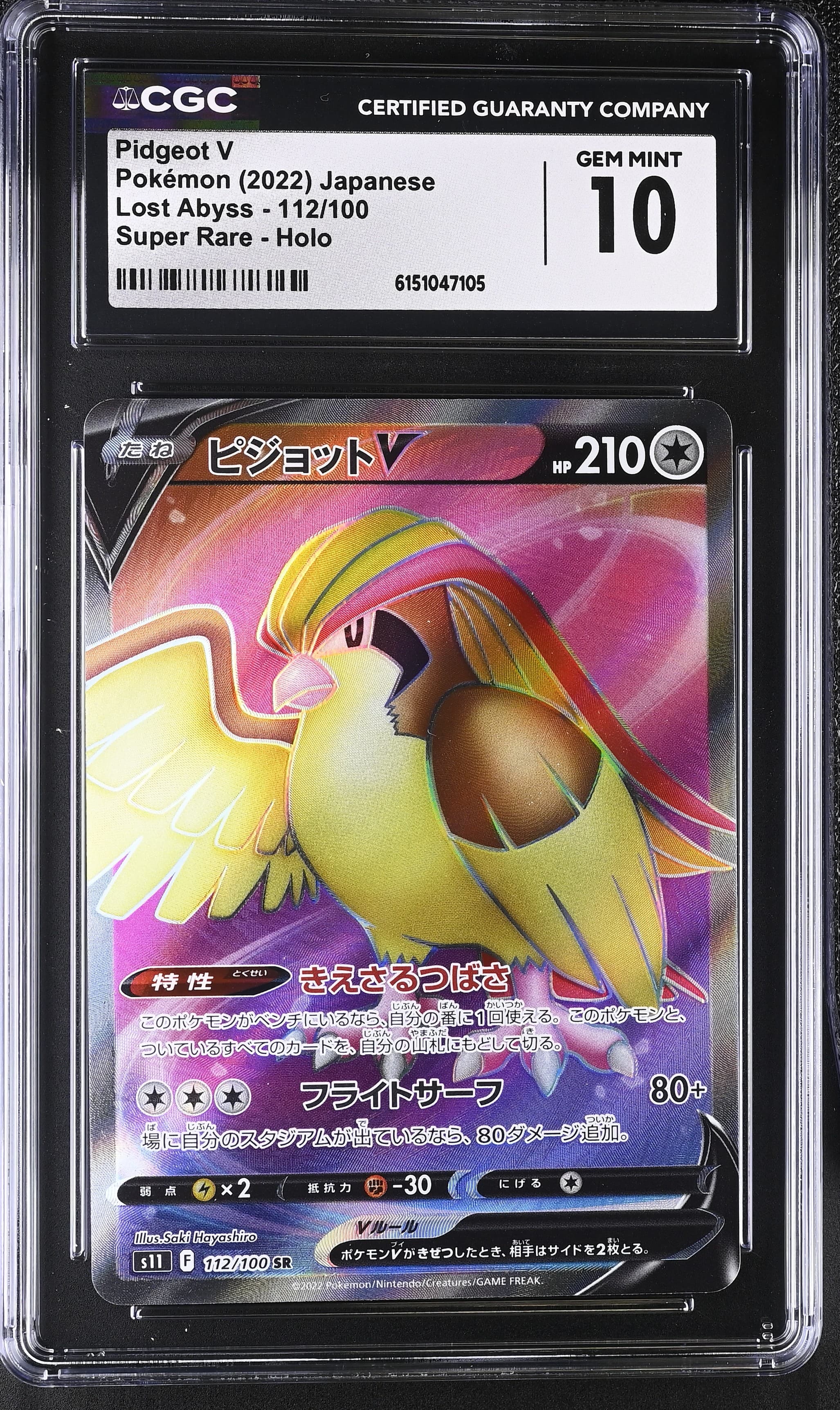 Pidgeot V