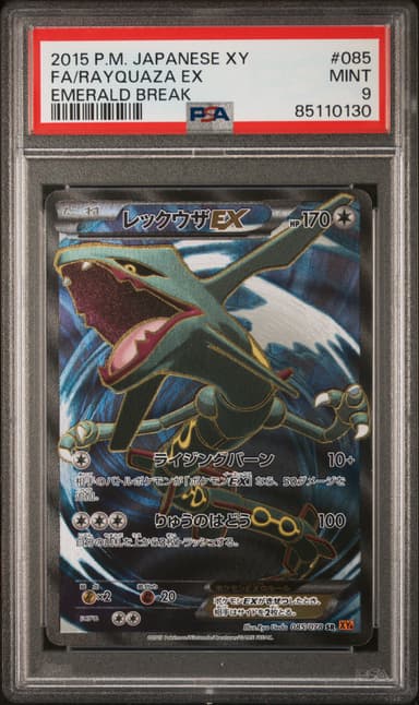 Full Art/Rayquaza EX