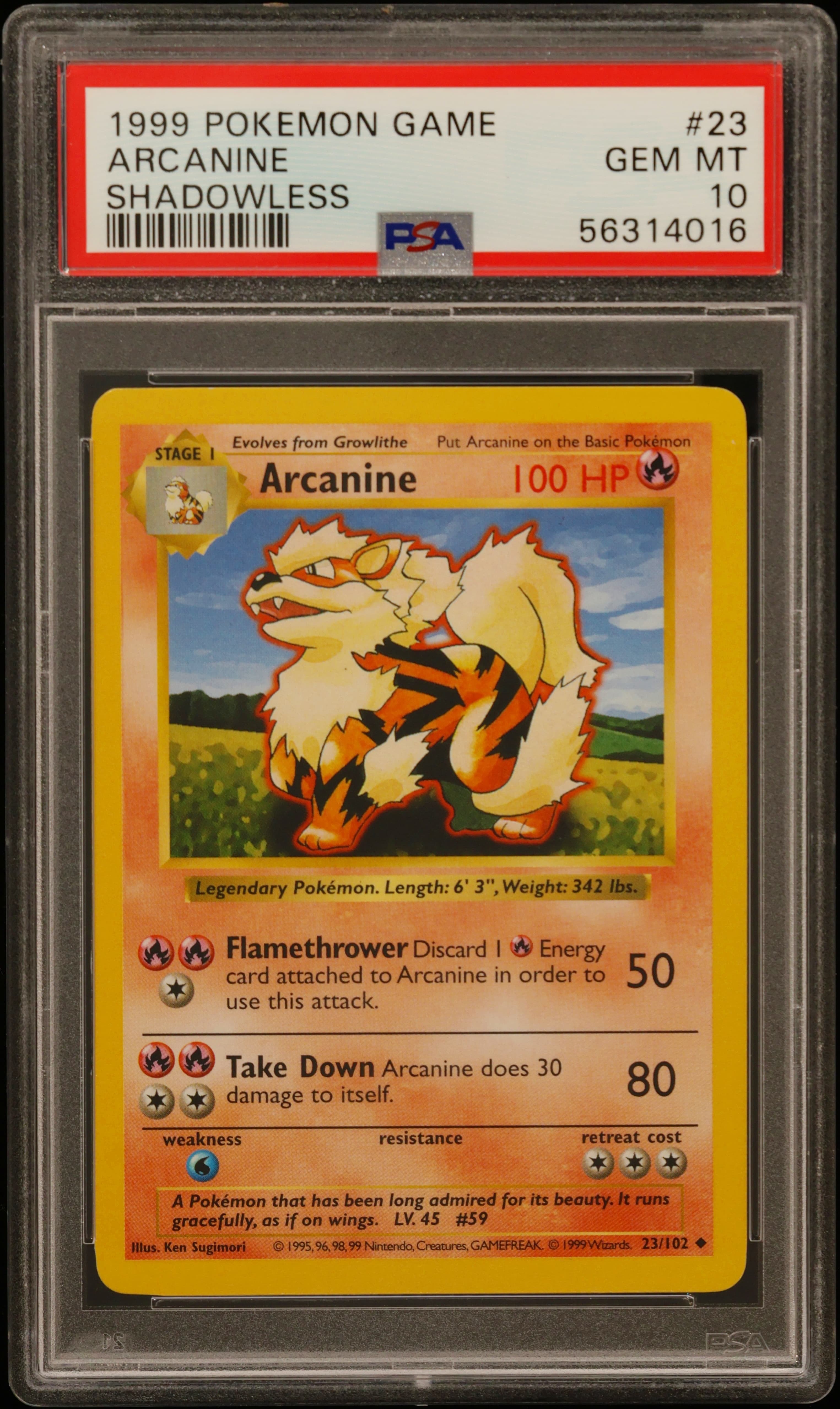 Arcanine Shadowless