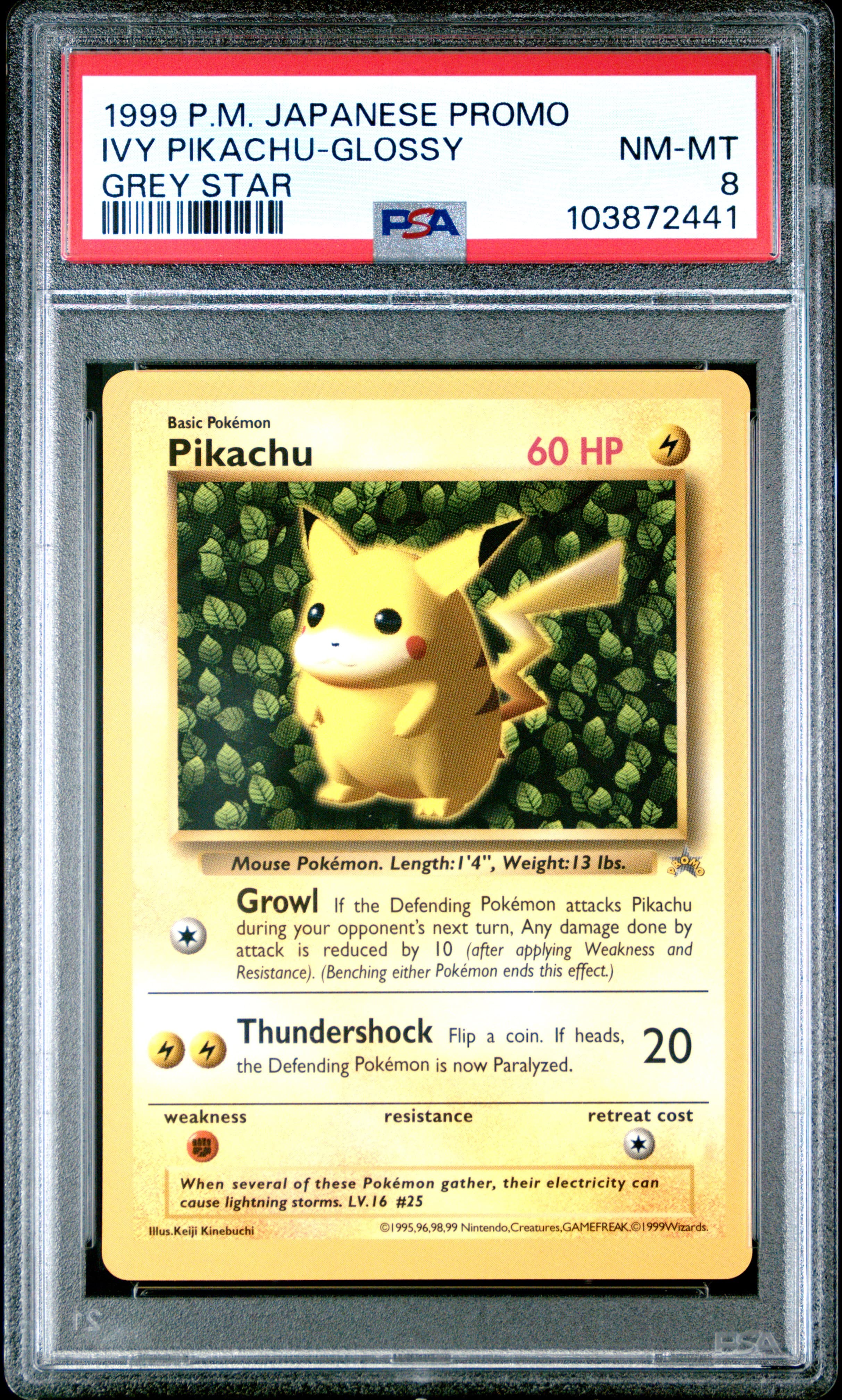 Ivy Pikachu-Glossy
