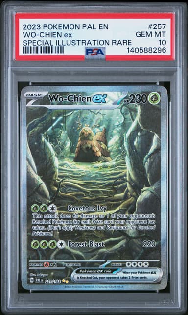 WO-Chien EX