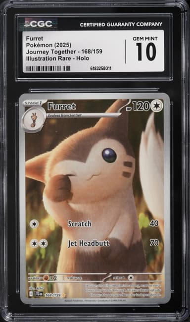 Furret