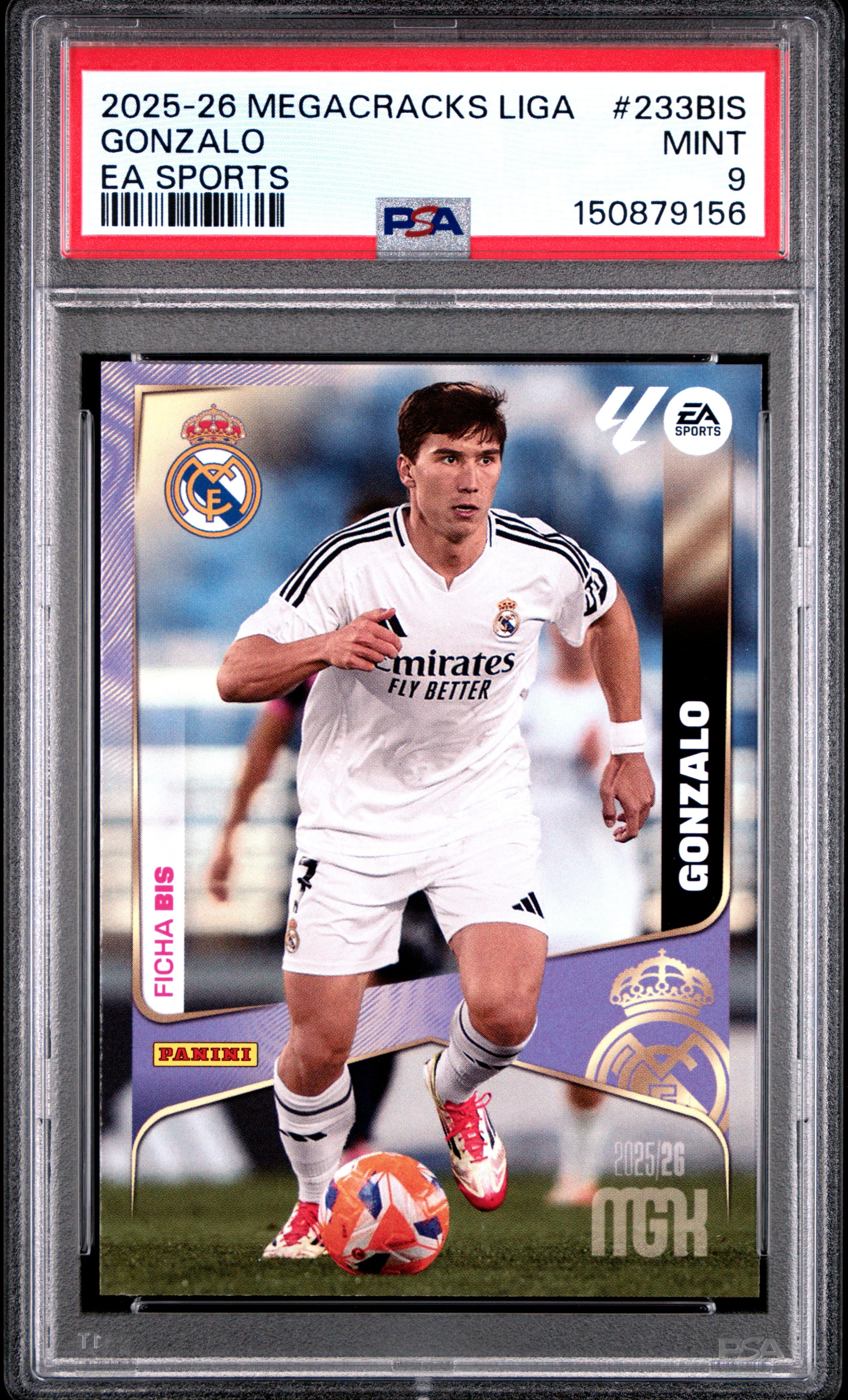 Gonzalo