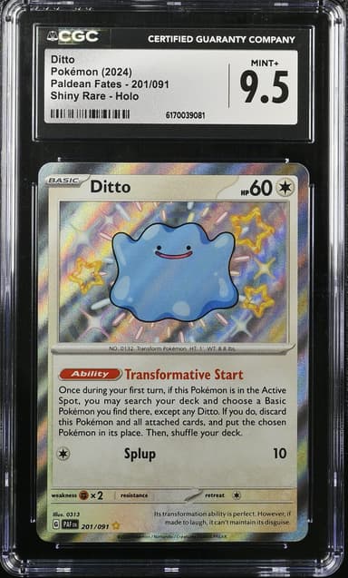 Ditto