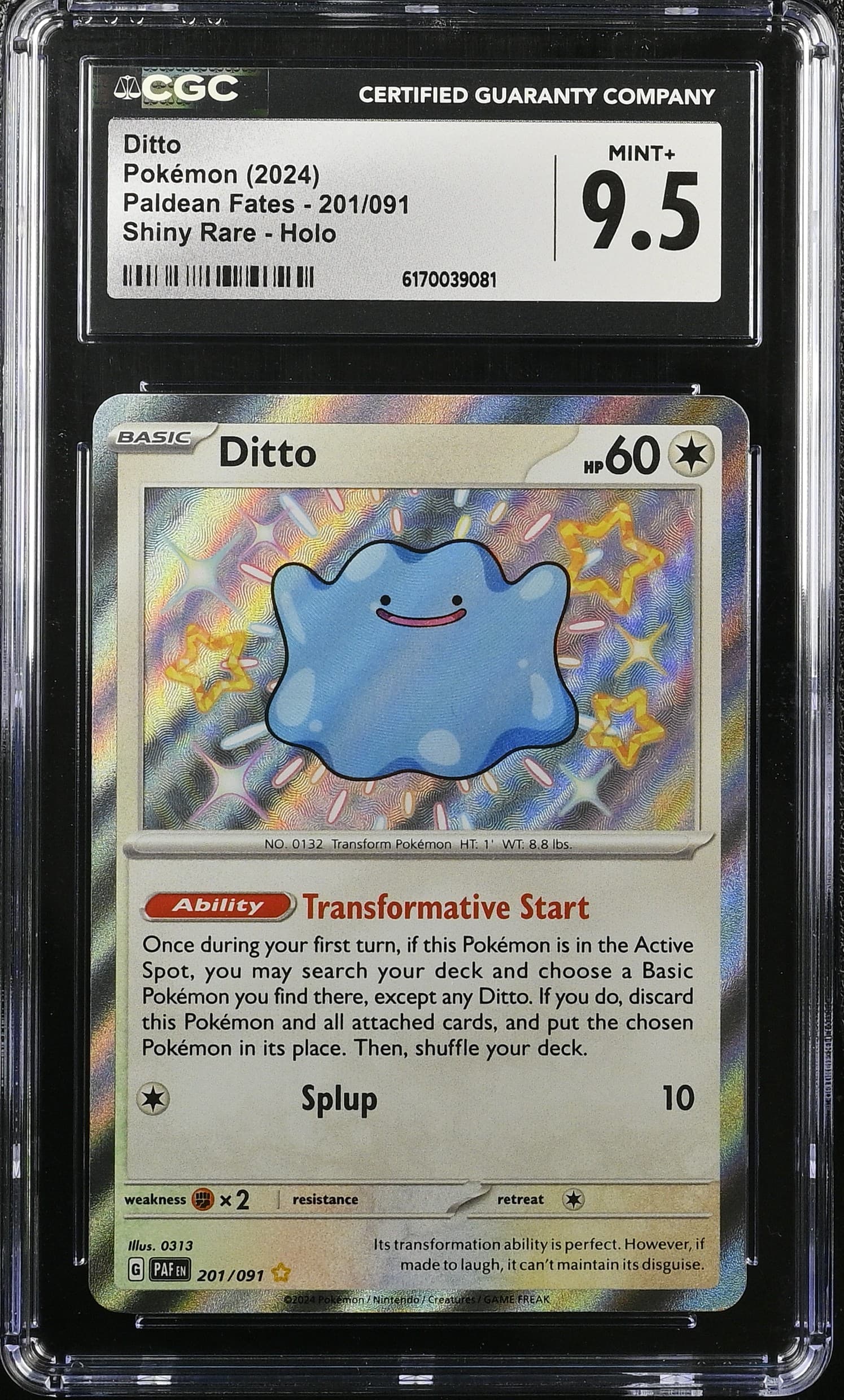 Ditto