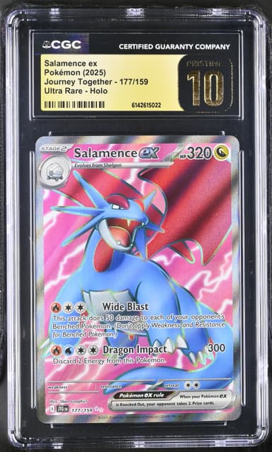 Salamence ex