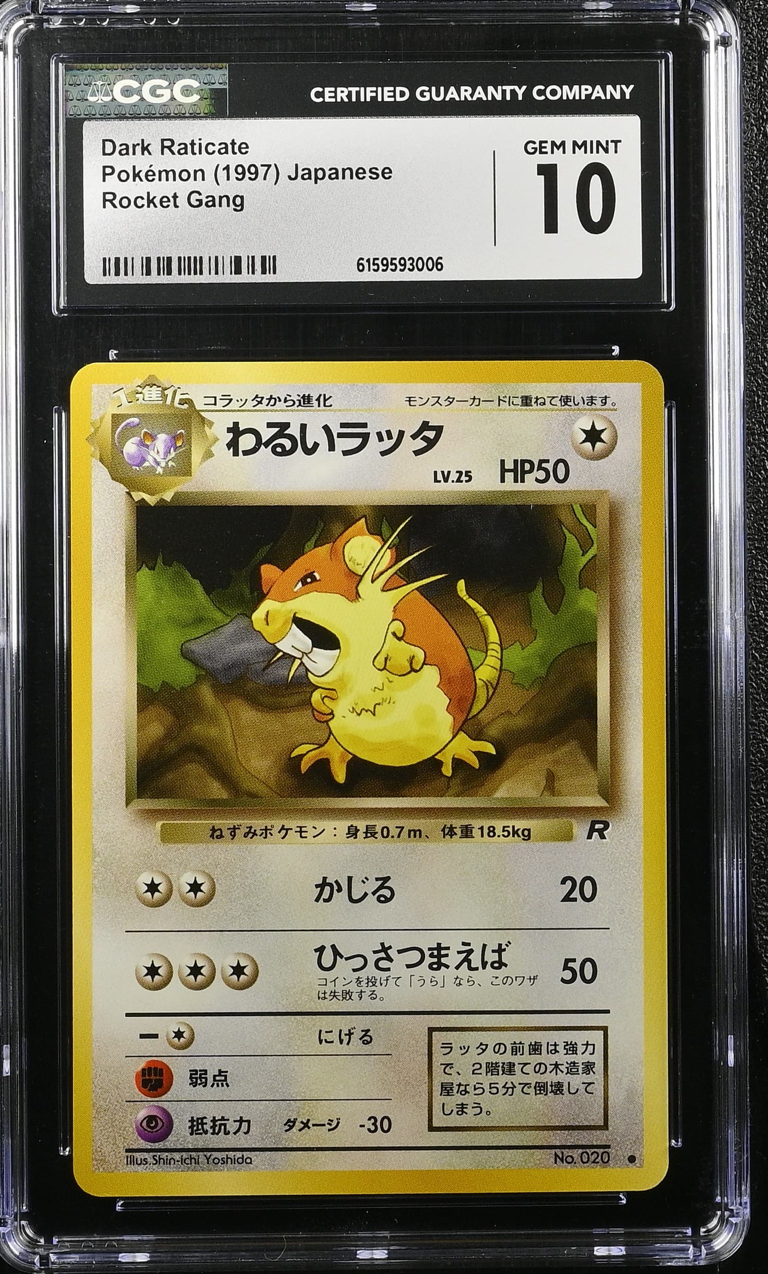 Dark Raticate