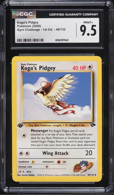 Koga's Pidgey
