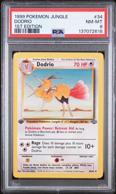 Dodrio 1st Edition