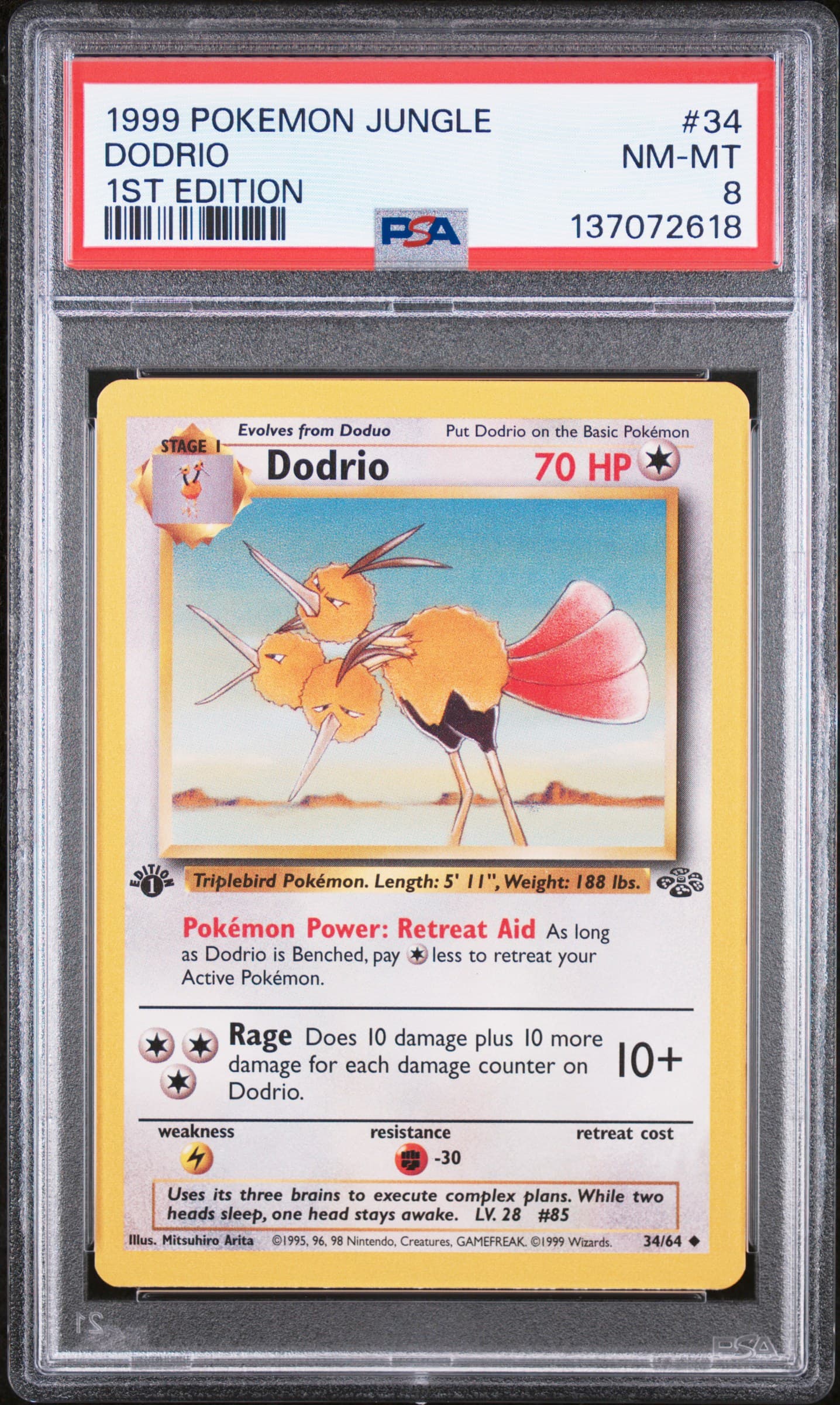 Dodrio 1st Edition