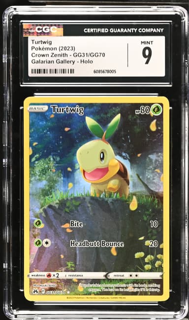 Turtwig