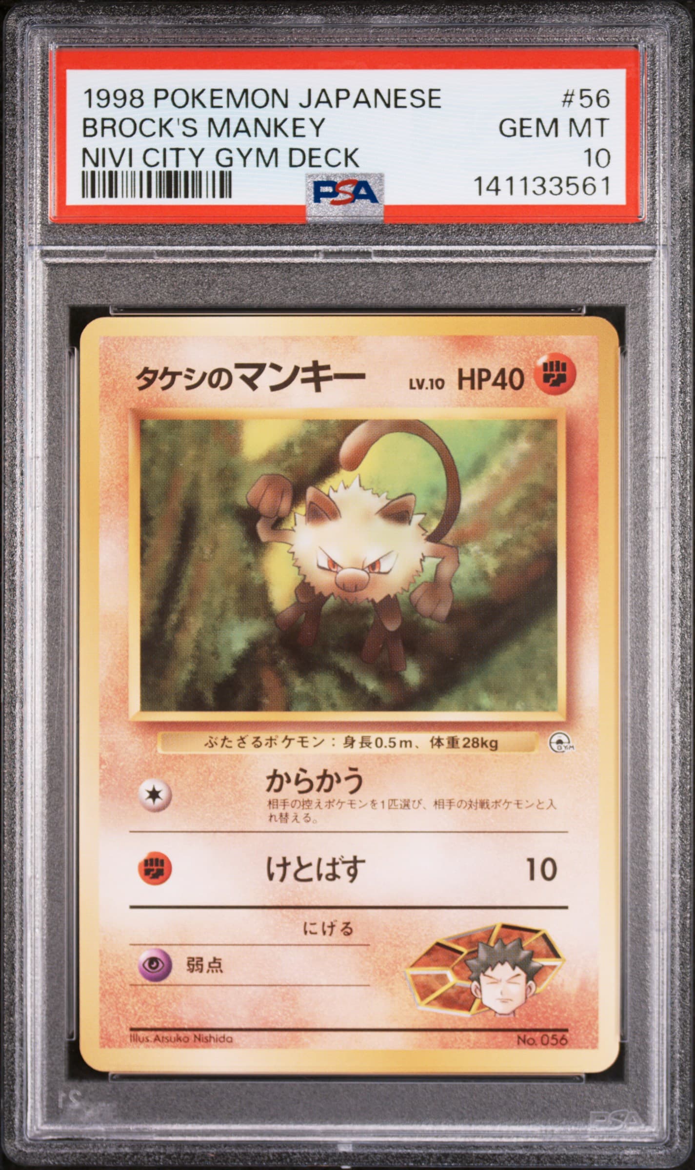 Brock's Mankey