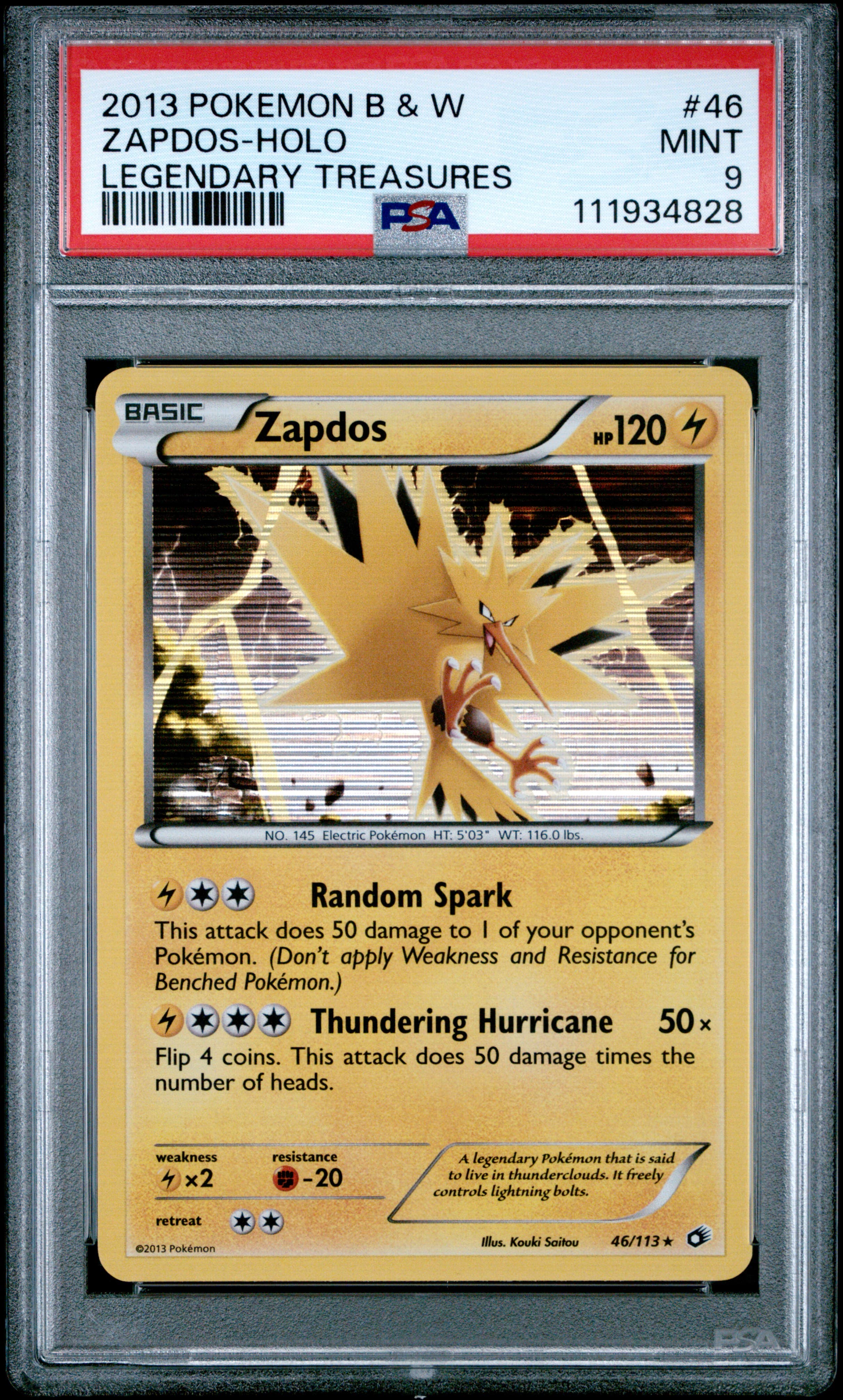 Zapdos-Holo