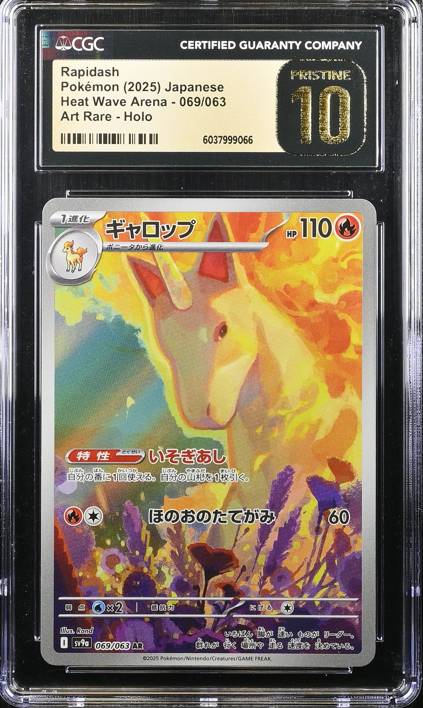 Rapidash