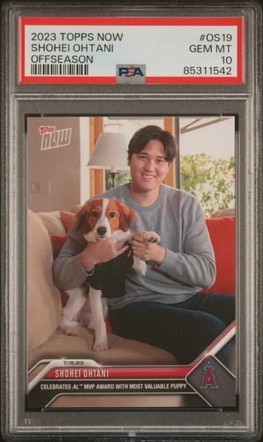 Shohei Ohtani