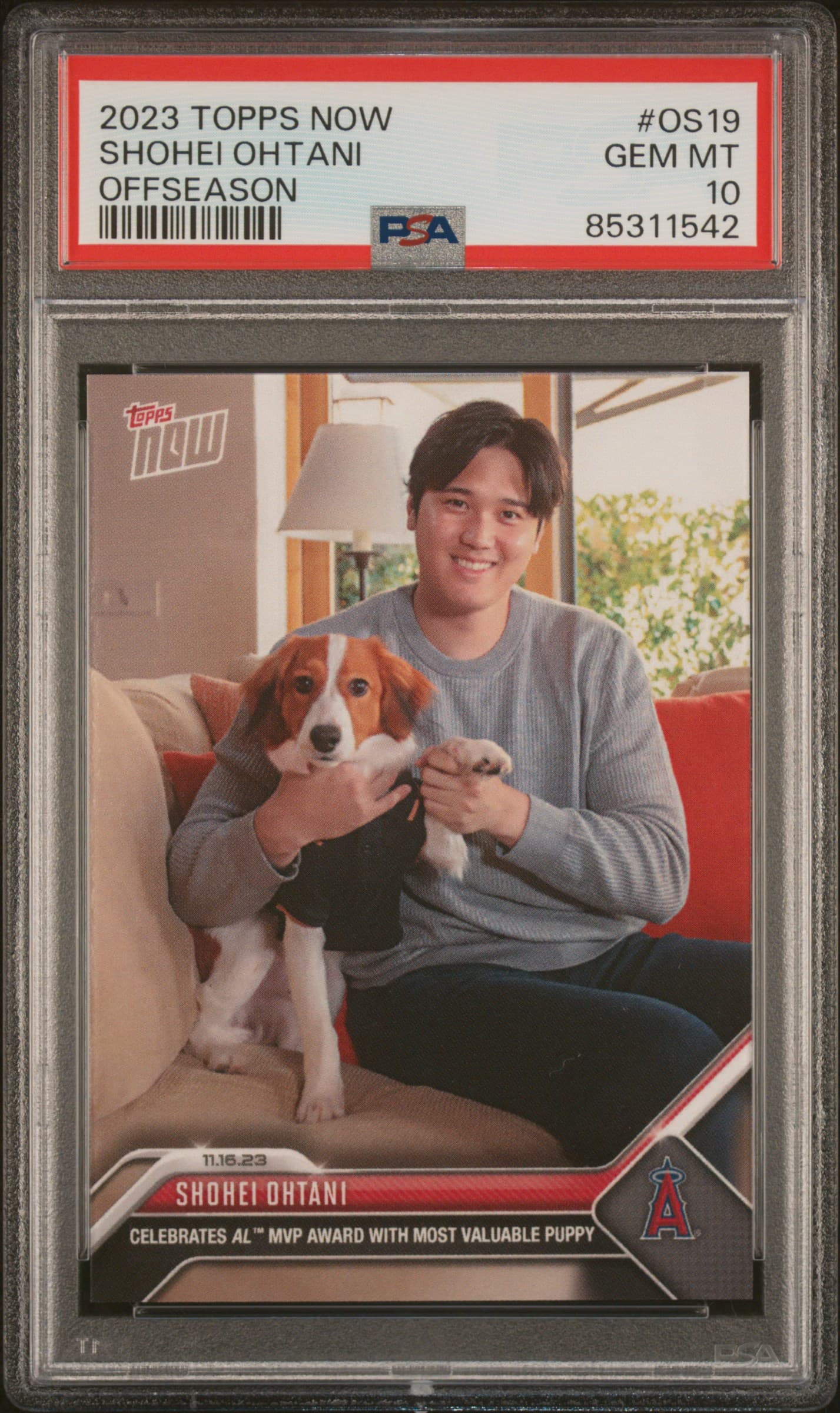 Shohei Ohtani