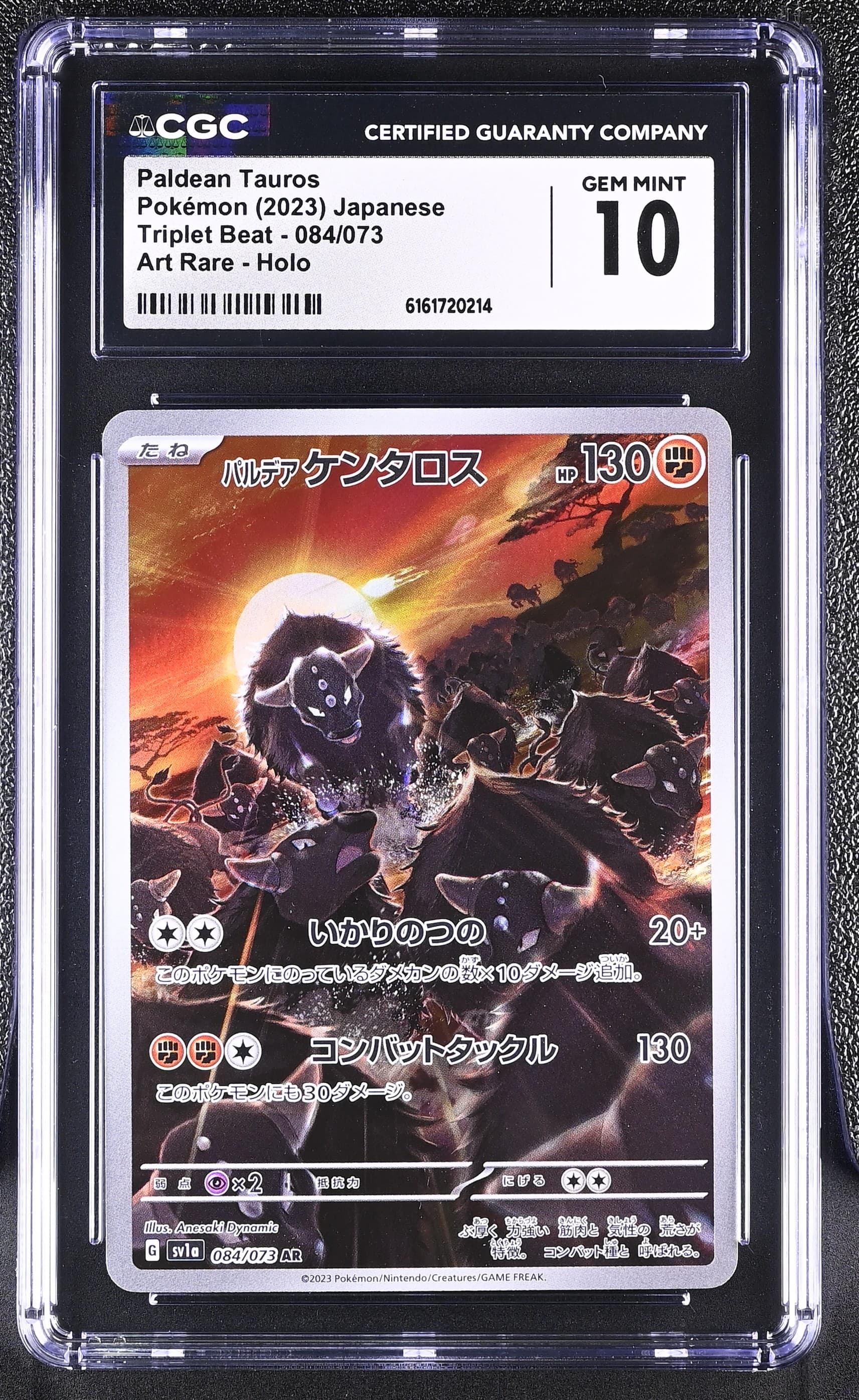 Paldean Tauros