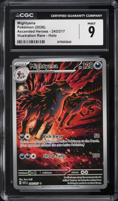 Pokemon Mega Evolution Ascended Heroes IR Mightyena #243