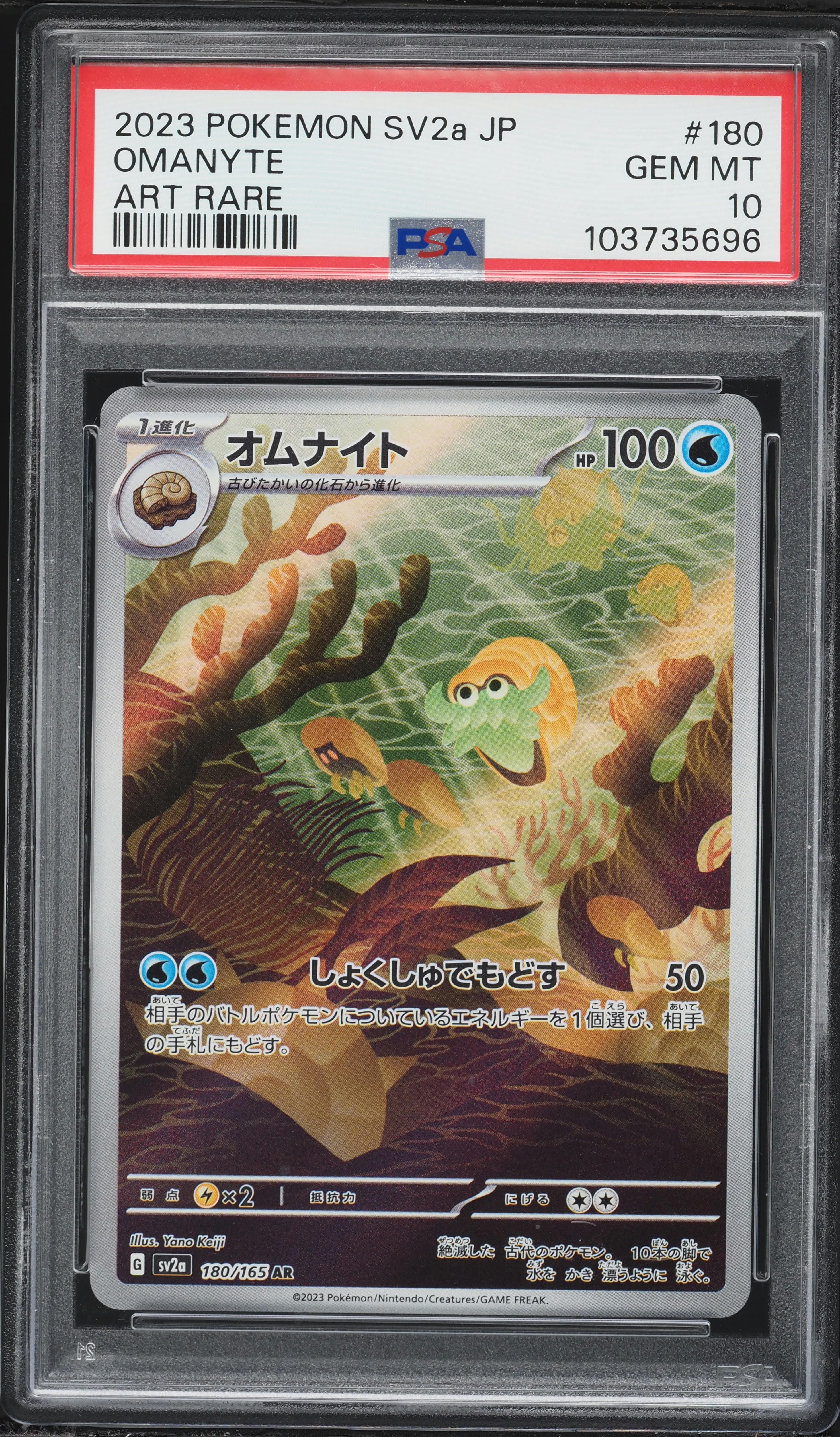 Omanyte