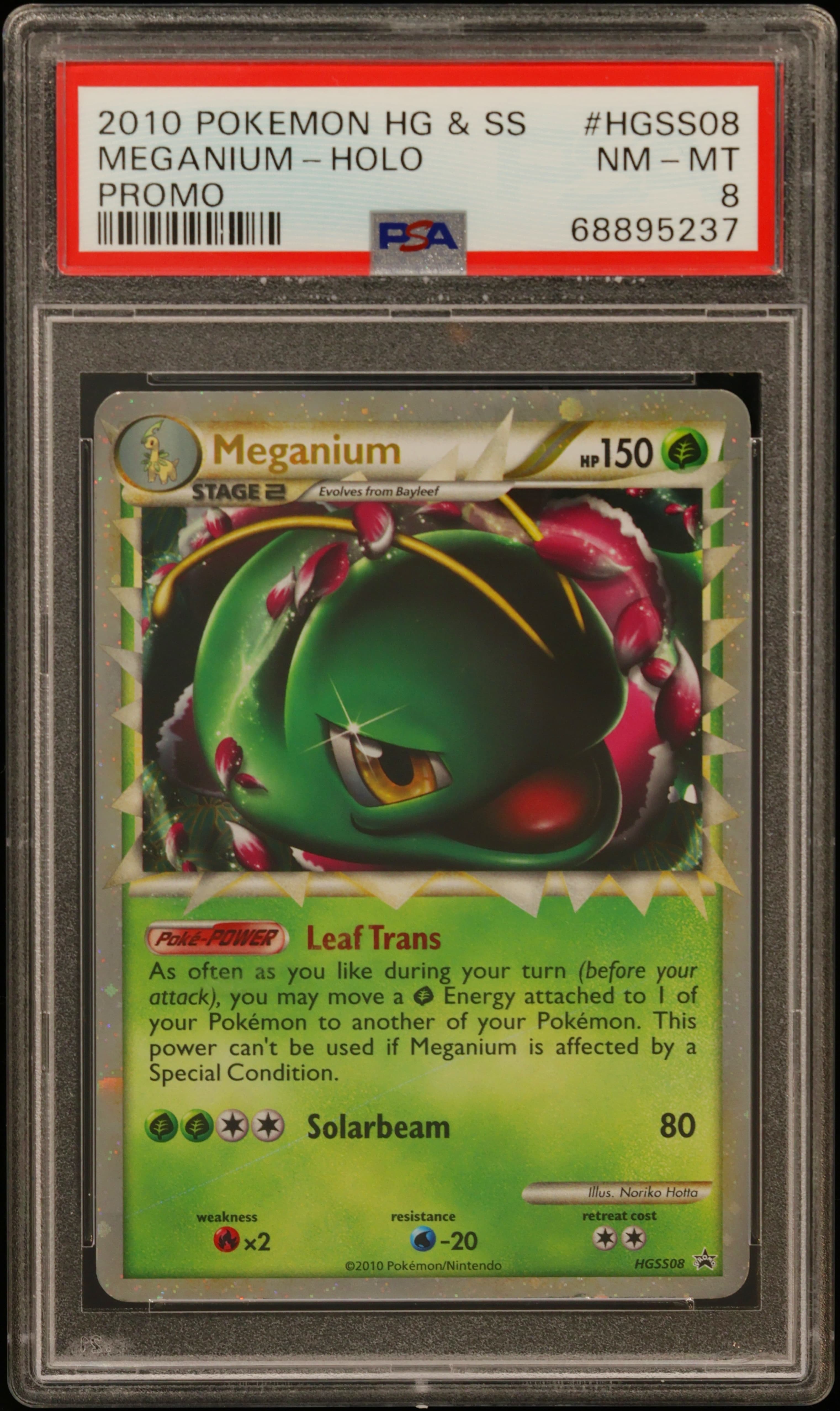 Meganium-Holo