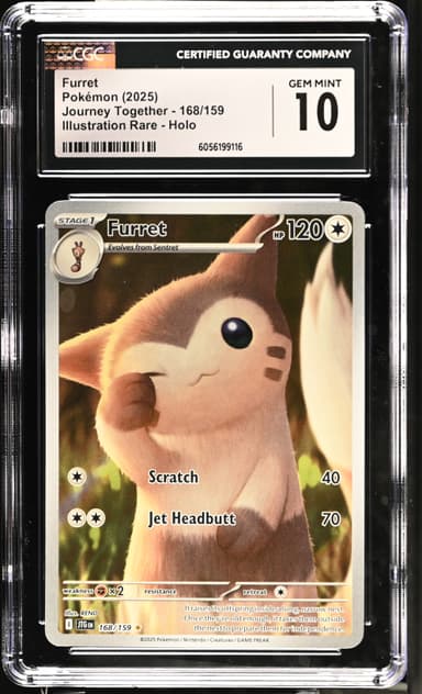Furret