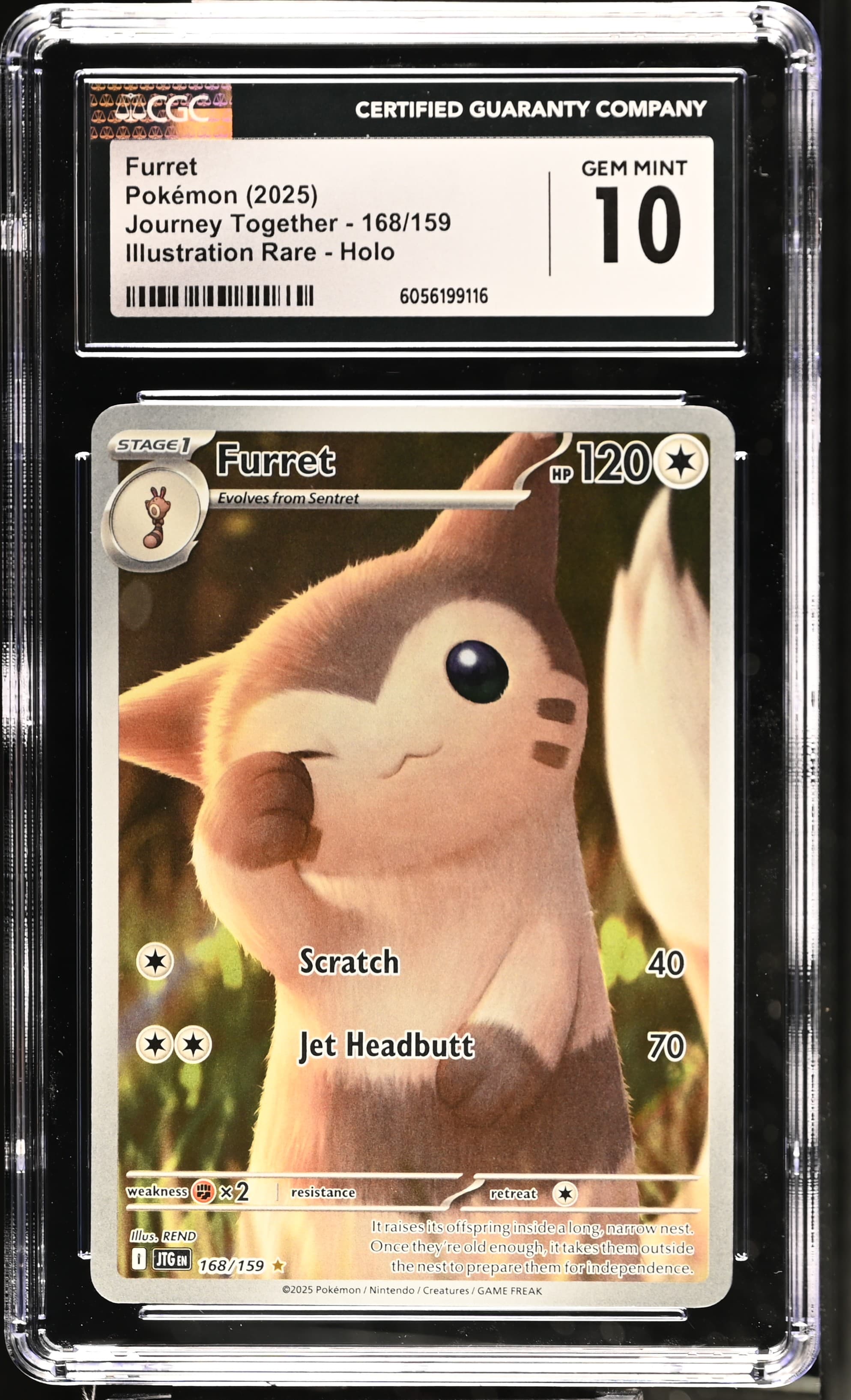 Furret
