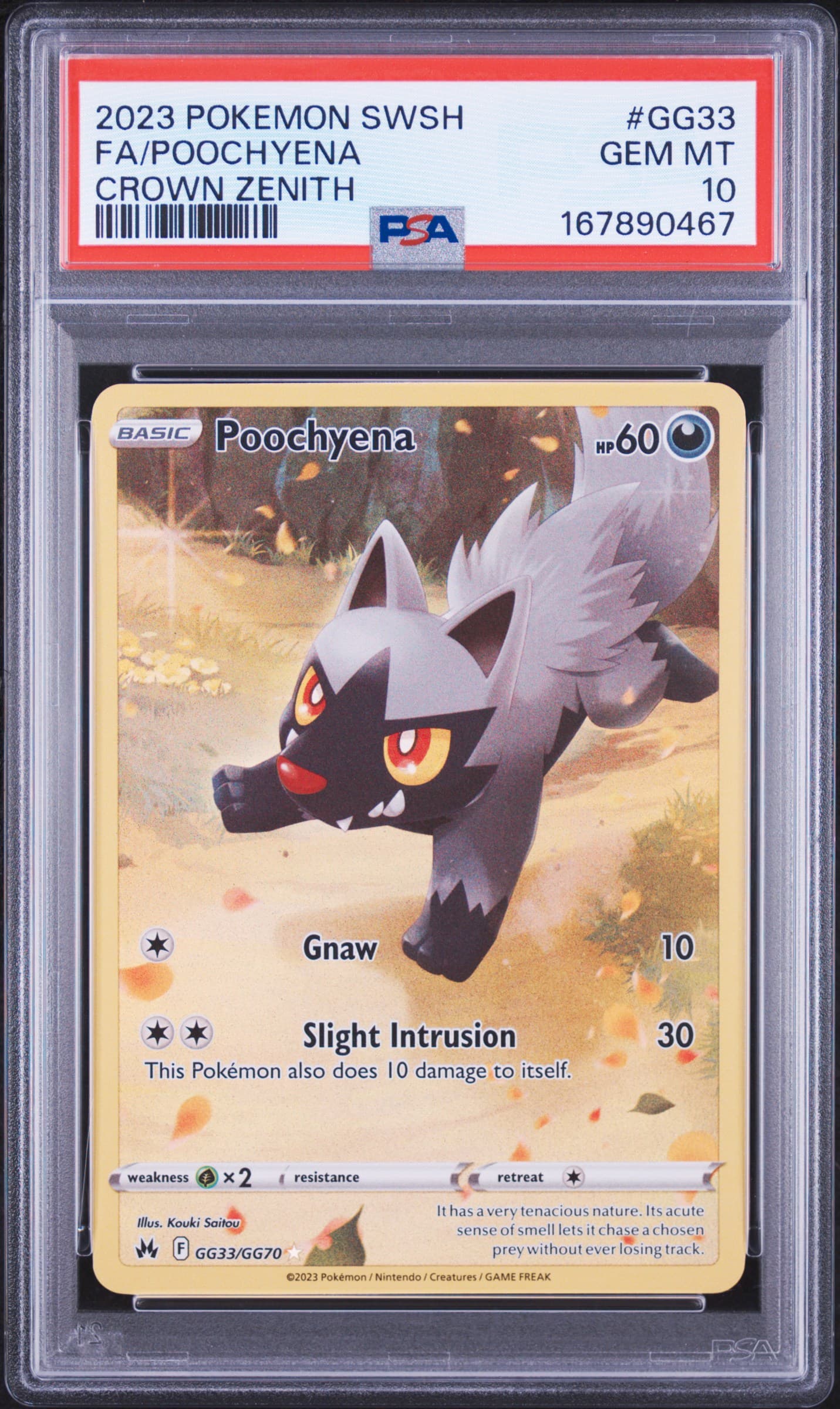 Full Art/Poochyena
