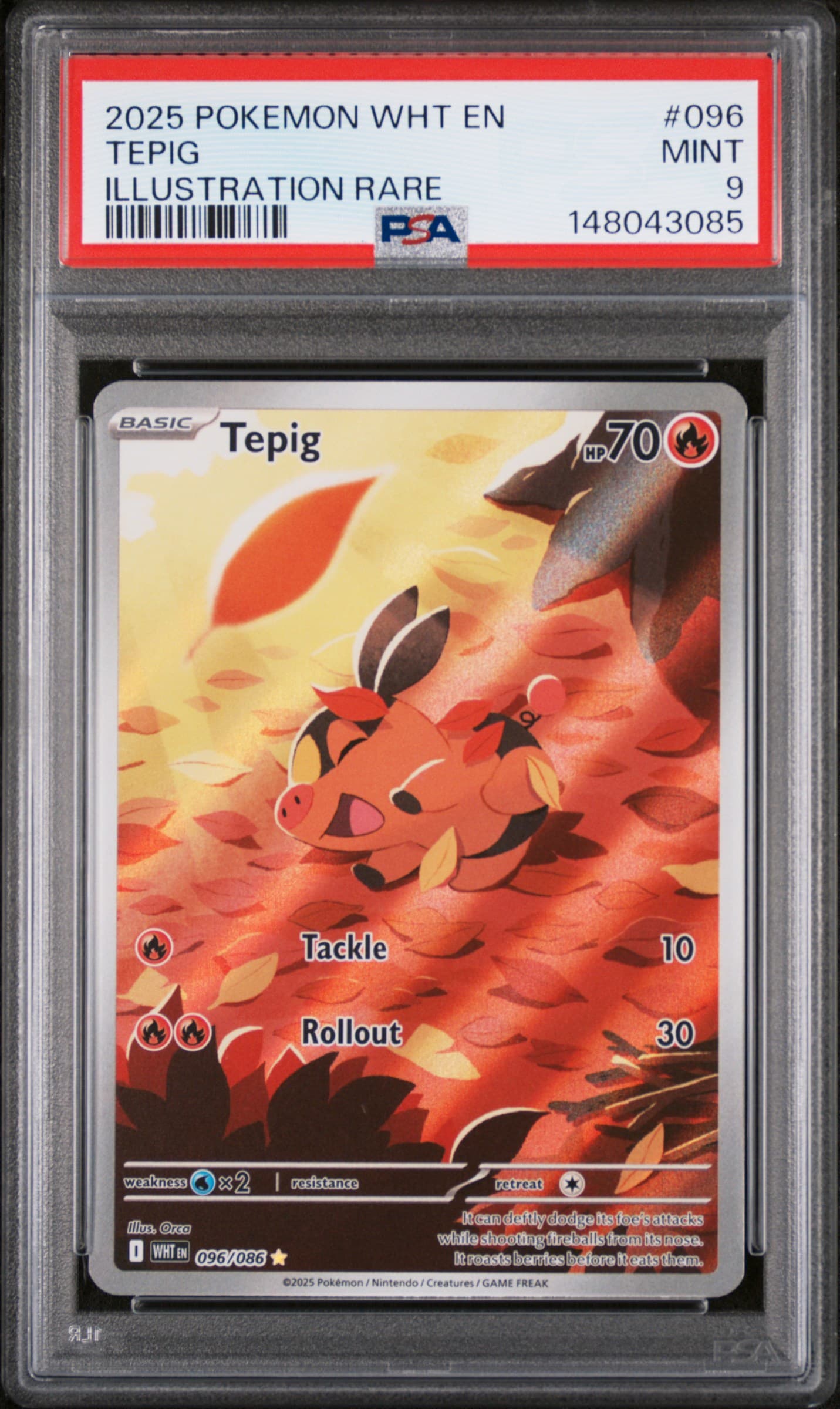 Tepig
