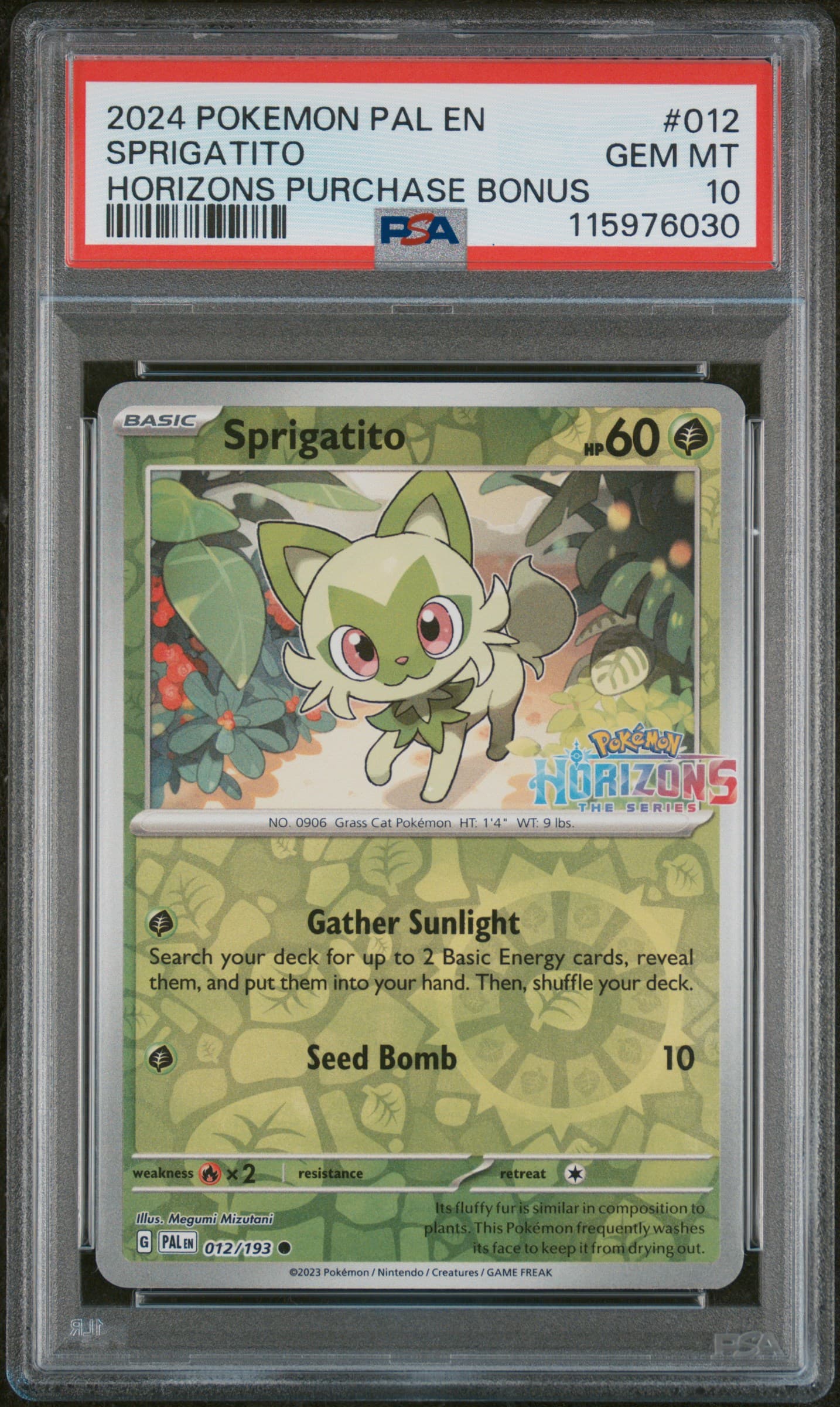 Sprigatito