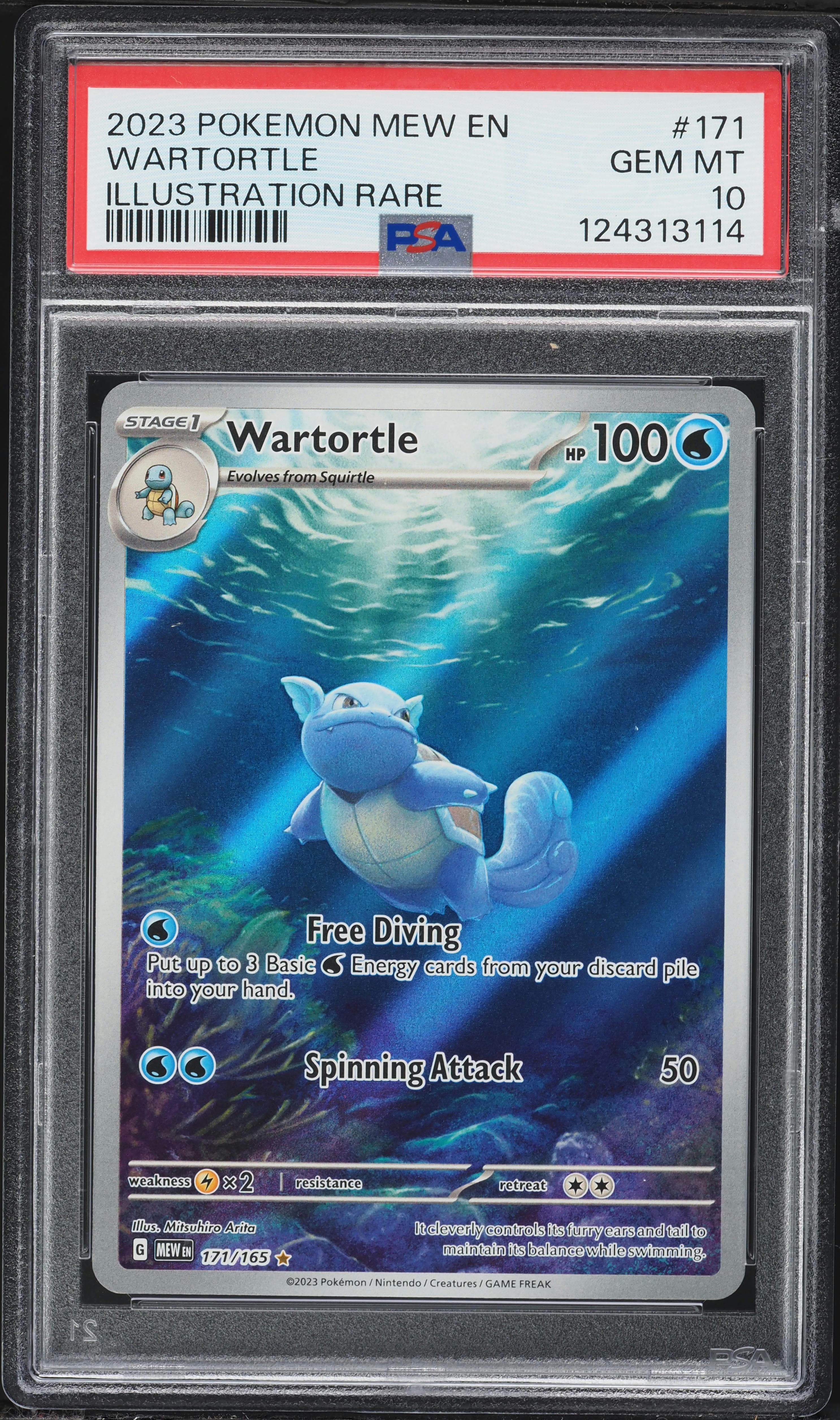 Wartortle