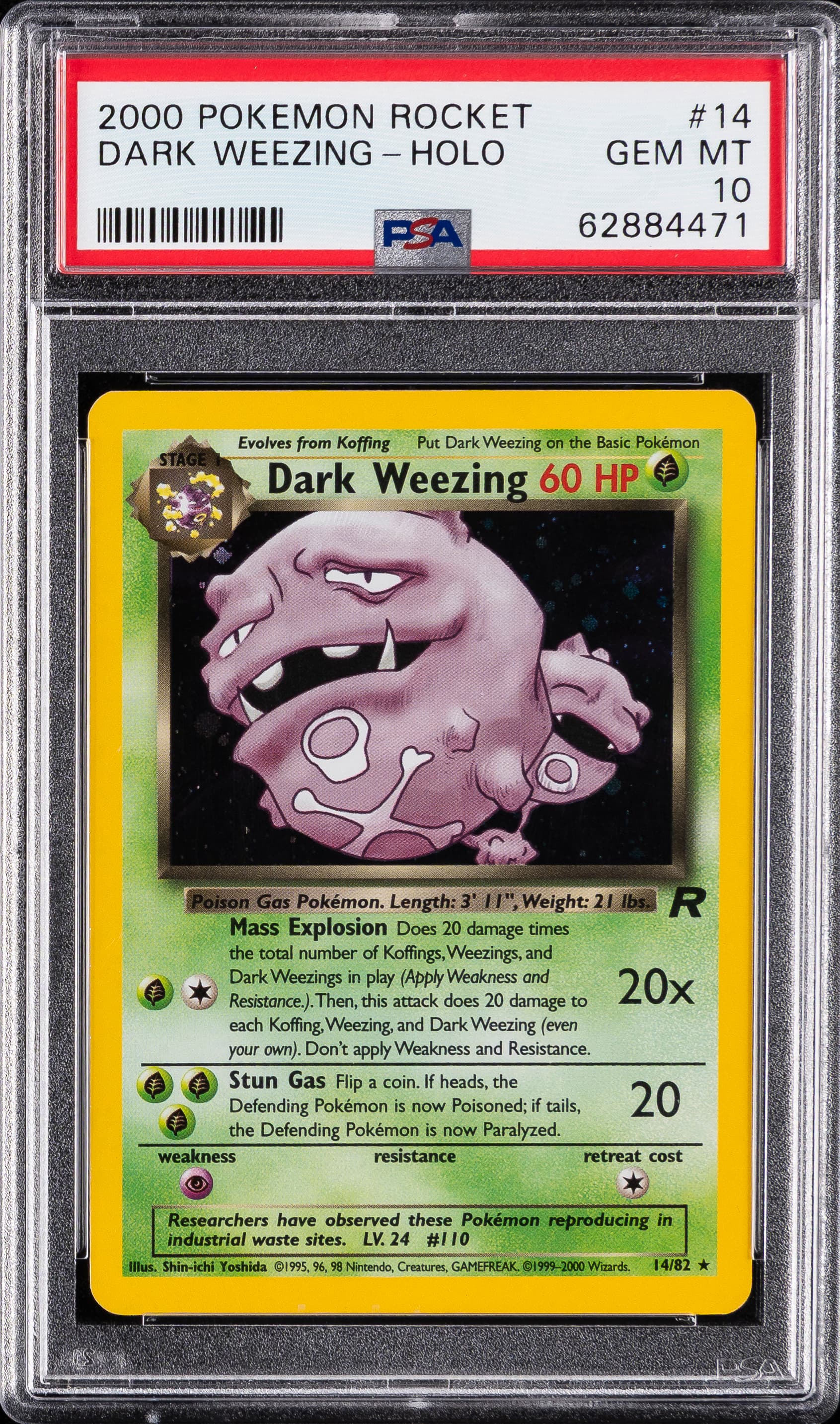 Dark Weezing-Holo