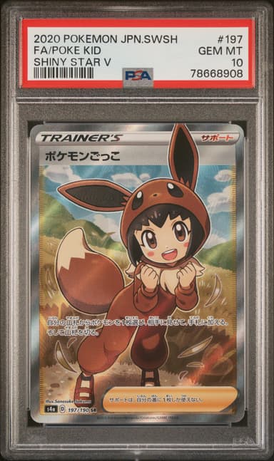 Full Art/Poke Kid