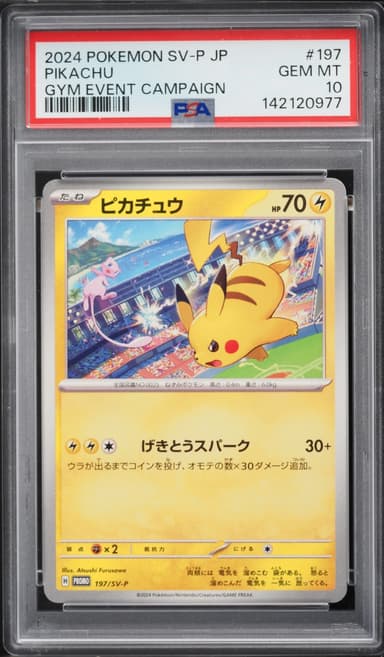 Pokemon Japanese Scarlet & Violet Promo Gym Event Campaign Pikachu #197