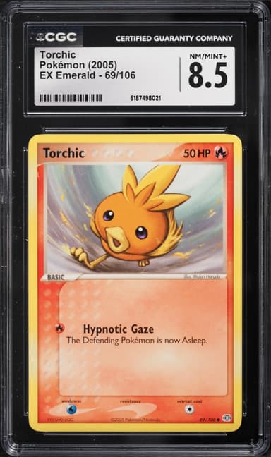 Torchic