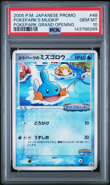 Pokepark's Mudkip