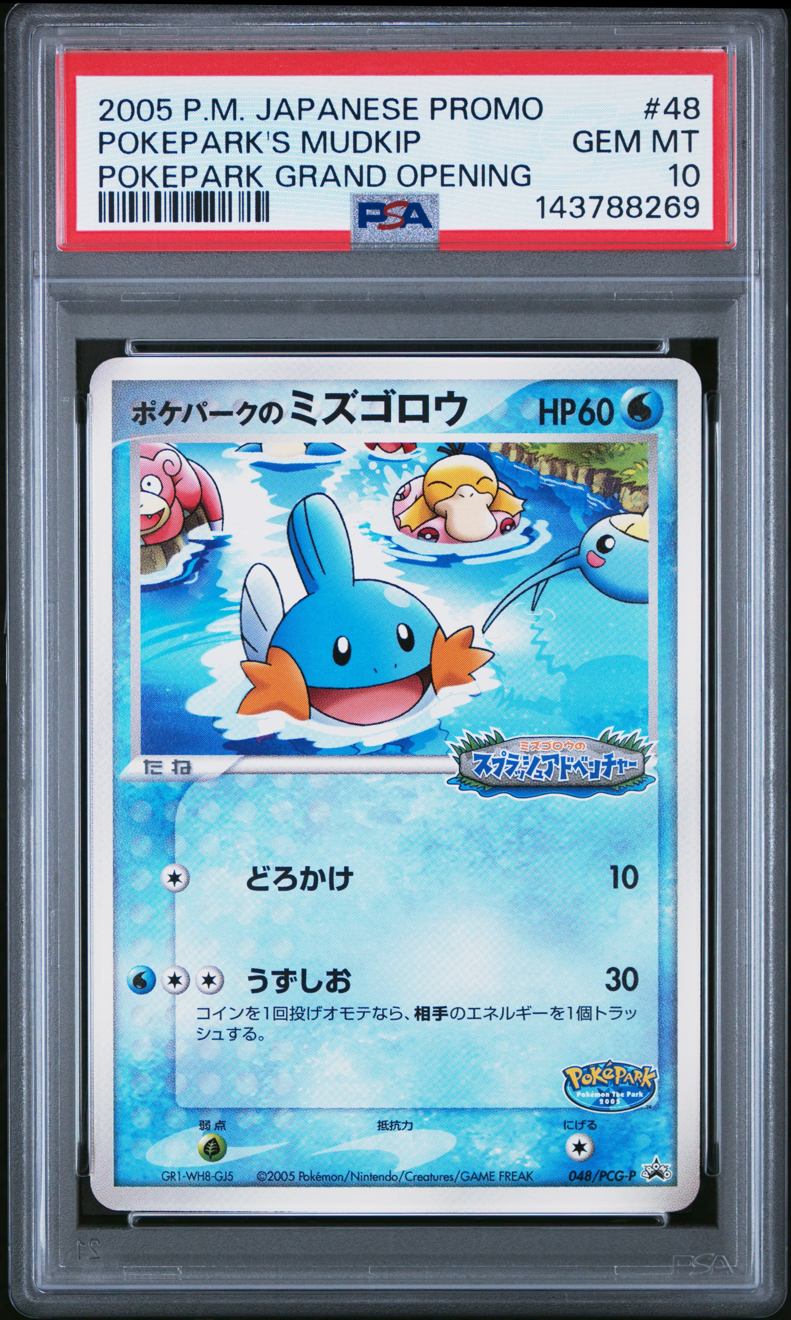 Pokepark's Mudkip